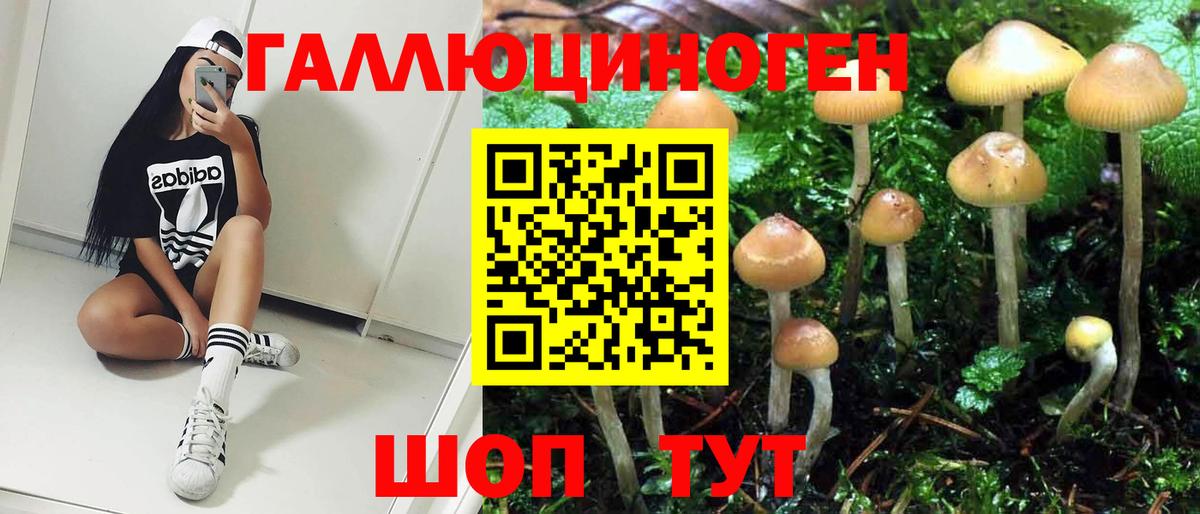 купить наркоту  Вход с VPN  Сердобск  Псилоцибиновые грибы Magic Shrooms  Галлюциногенные грибы MAGIC MUSHROOMS 